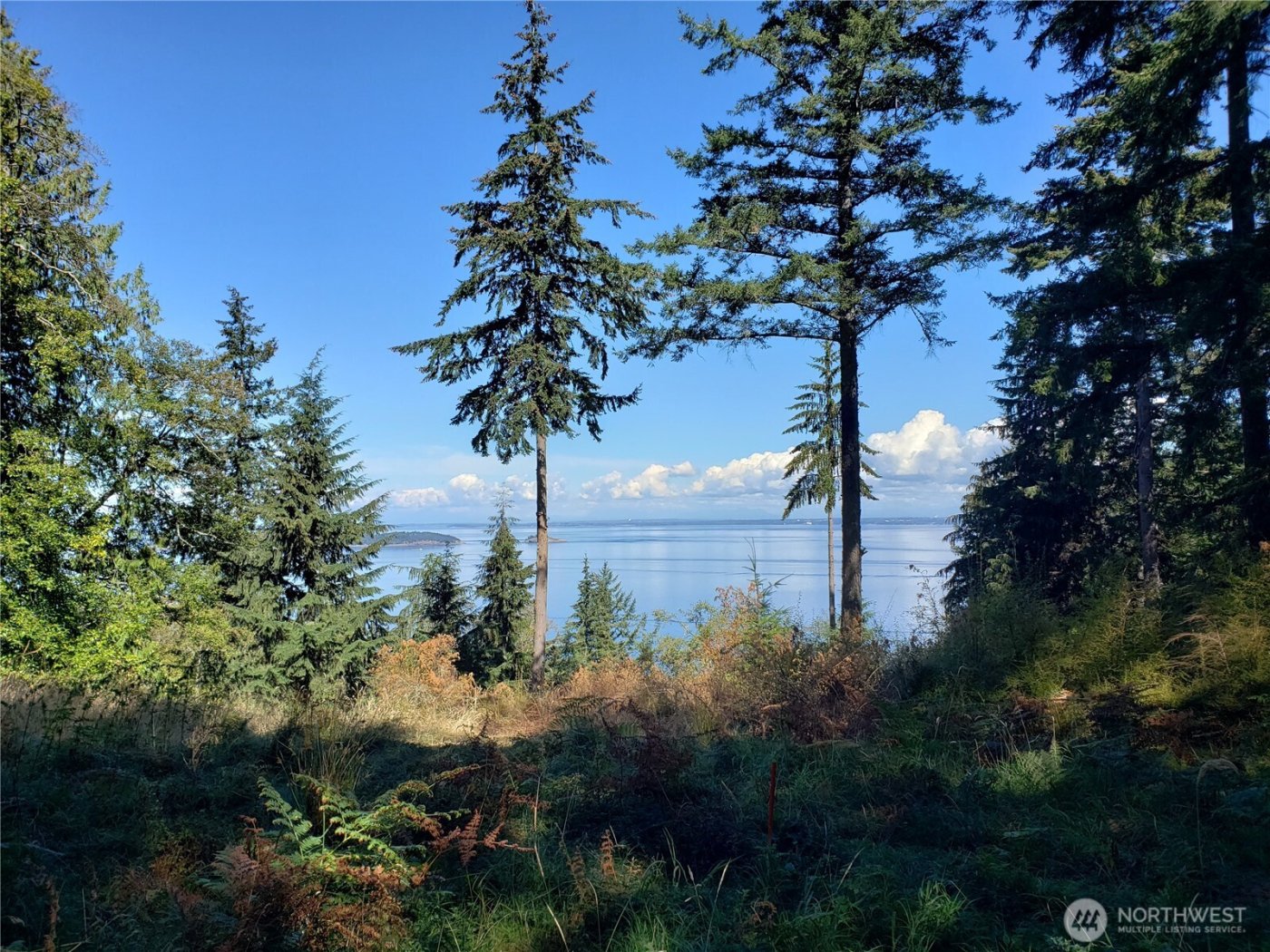 0 Raccoon Point Road #Lot 2, Orcas Island, WA 98245