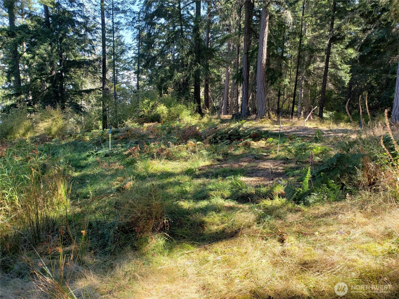 0 Raccoon Point Road #Lot 2, Orcas Island, WA 98245