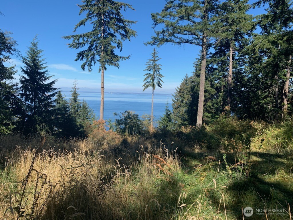 0 Raccoon Point Road #Lot 2, Orcas Island, WA 98245