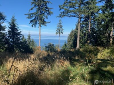 0 Raccoon Point Road #Lot 2, Orcas Island, WA 98245 - Photo 18