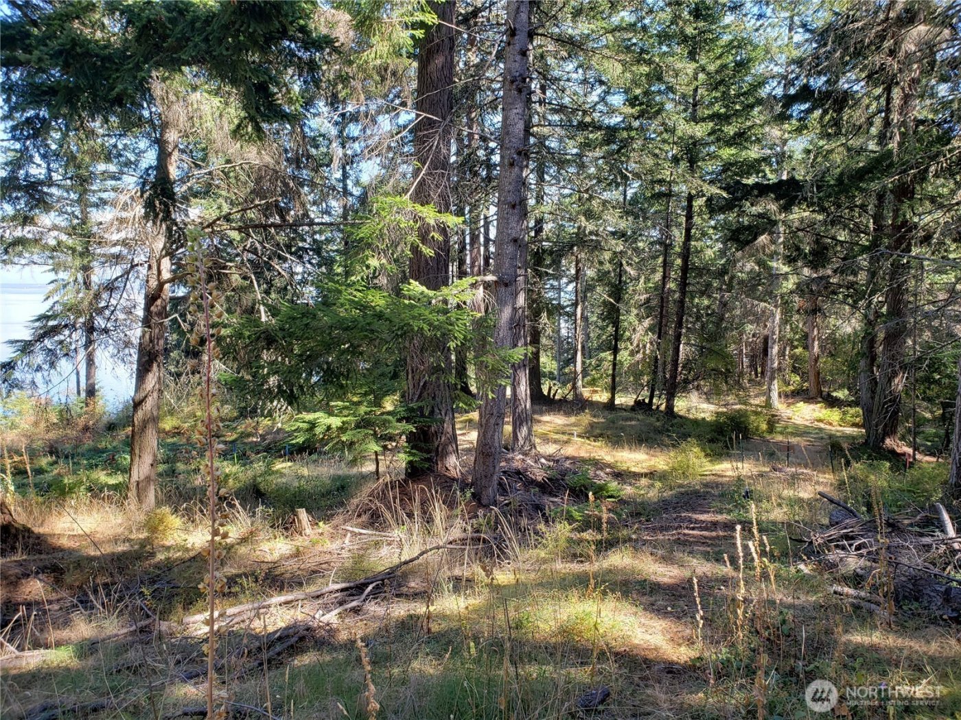 0 Raccoon Point Road #Lot 2, Orcas Island, WA 98245