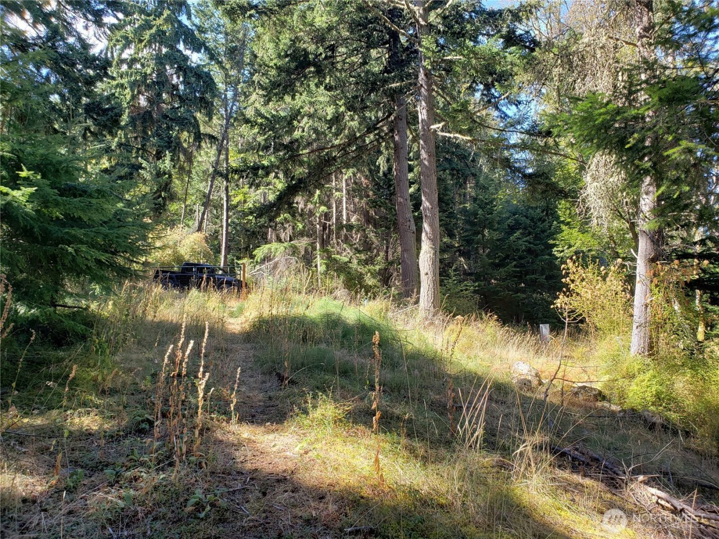 0 Raccoon Point Road #Lot 2, Orcas Island, WA 98245