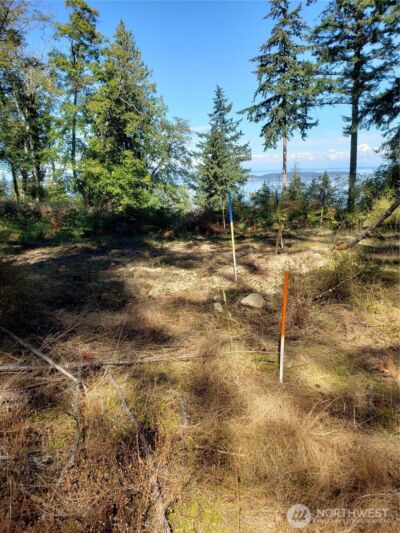 0 Raccoon Point Road #Lot 2, Orcas Island, WA 98245 - Photo 5
