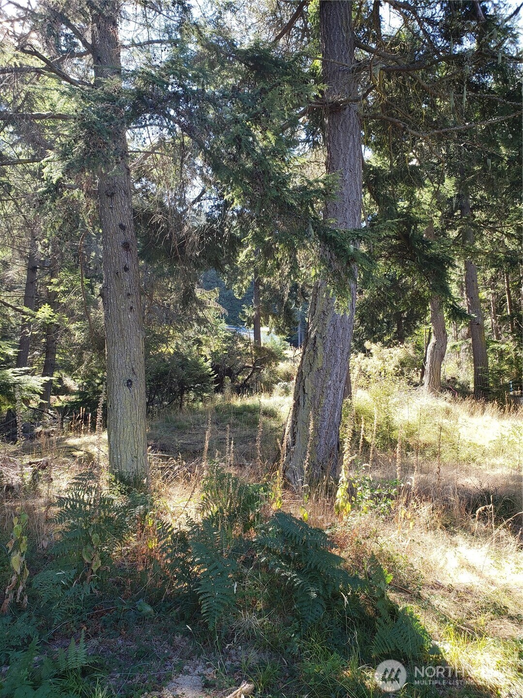 0 Raccoon Point Road #Lot 2, Orcas Island, WA 98245