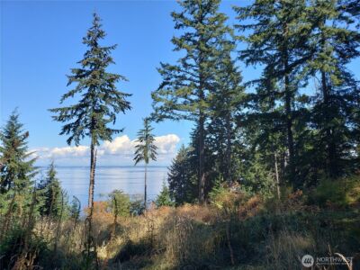 0 Raccoon Point Road #Lot 2, Orcas Island, WA 98245 - Photo 9