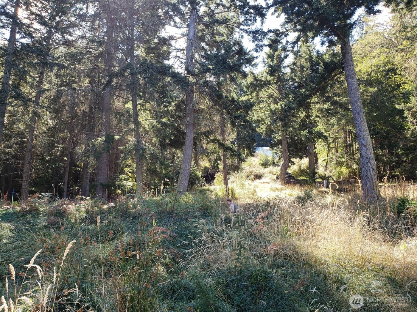 0 Raccoon Point Road #Lot 2, Orcas Island, WA 98245