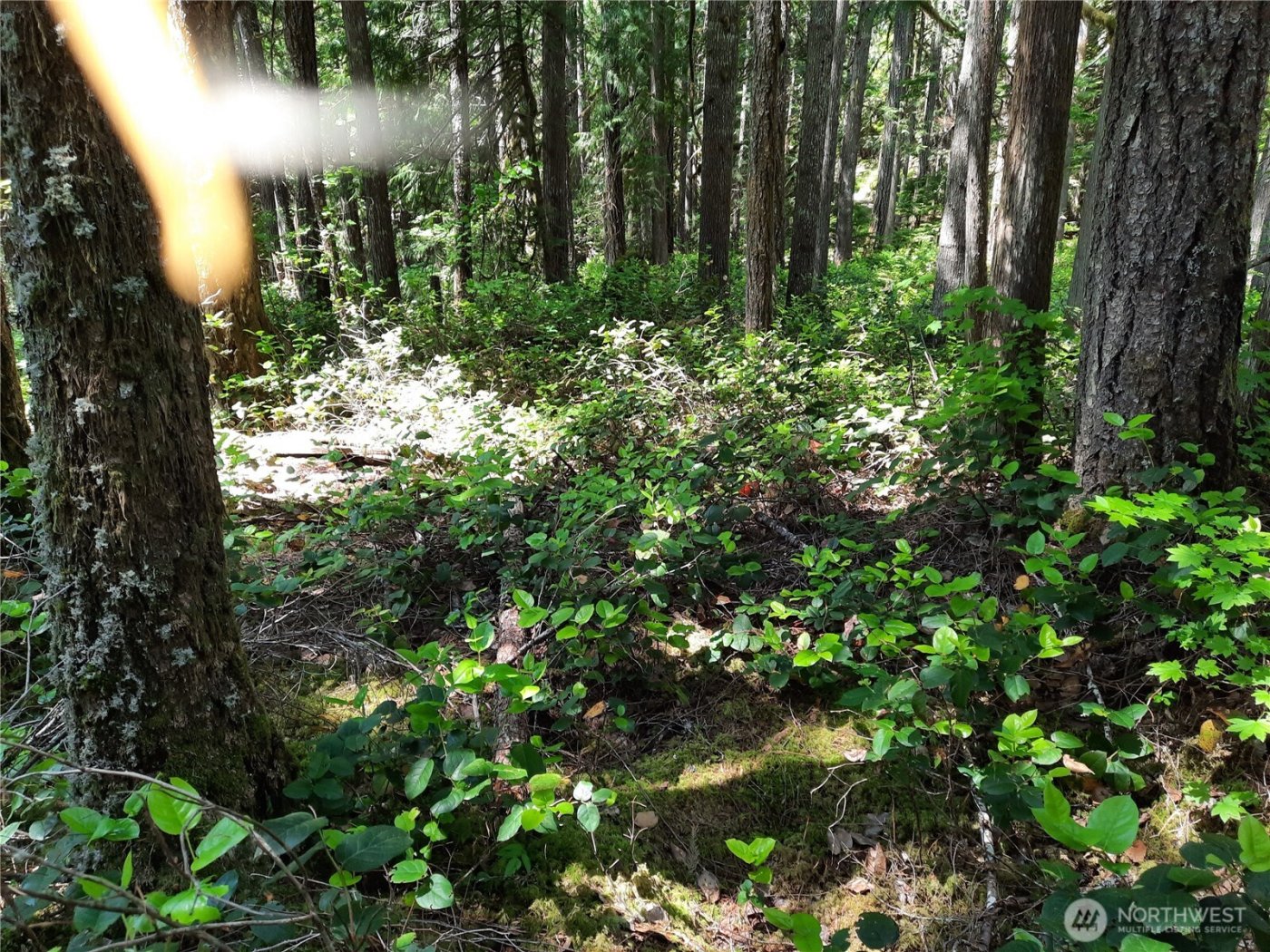 197 Cascade River Road , Marblemount, WA 98267