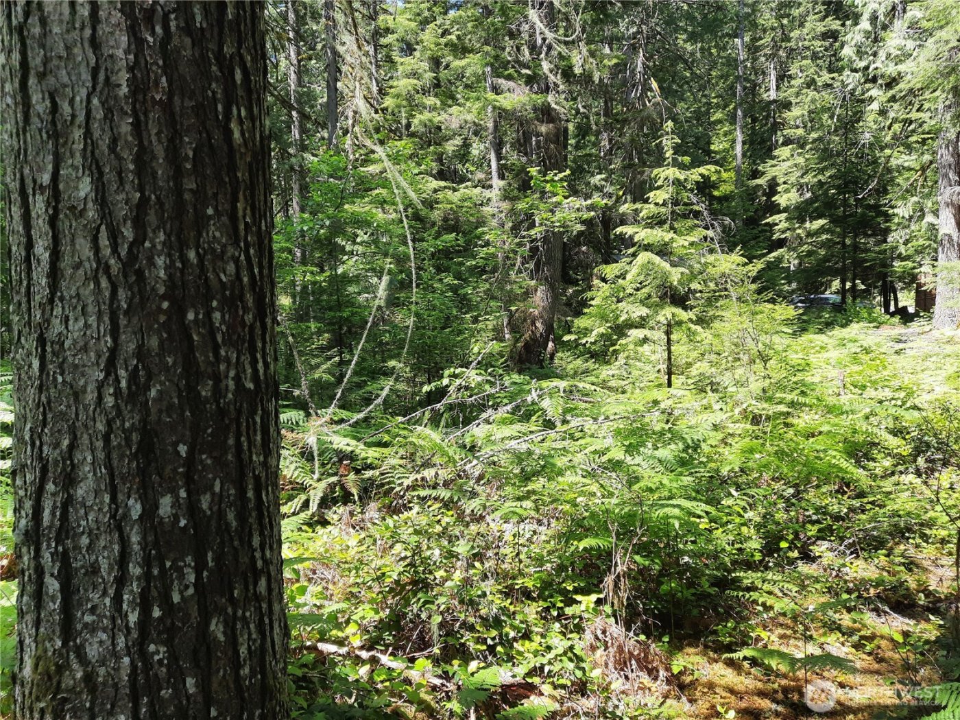 197 Cascade River Road , Marblemount, WA 98267
