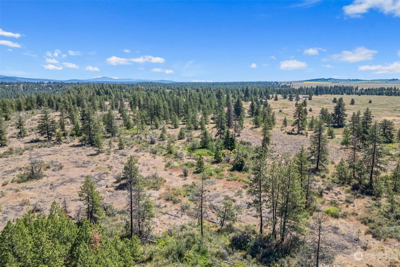 51200 E Whispering Pines Dr , Reardan, WA 99029