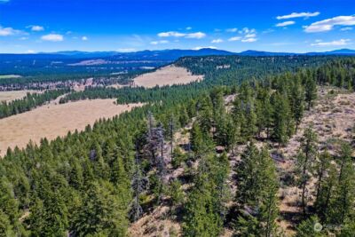 51200 E Whispering Pines Dr , Reardan, WA 99029 - Photo 12