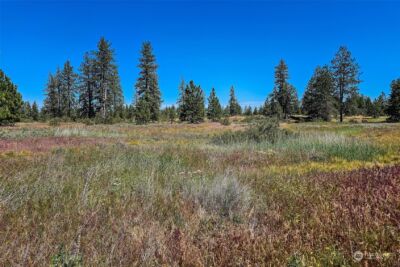 51200 E Whispering Pines Dr , Reardan, WA 99029 - Photo 5