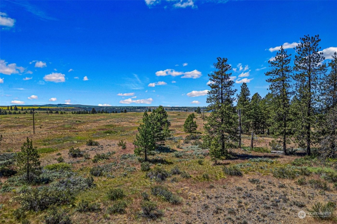 51200 E Whispering Pines Dr , Reardan, WA 99029