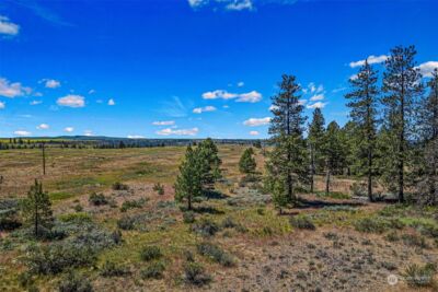 51200 E Whispering Pines Dr , Reardan, WA 99029 - Photo 6