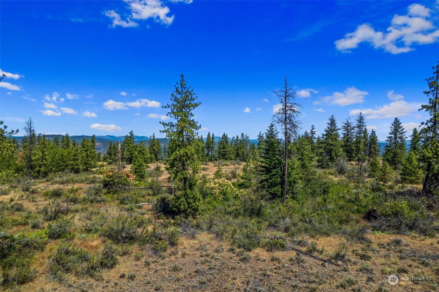 51200 E Whispering Pines Dr , Reardan, WA 99029