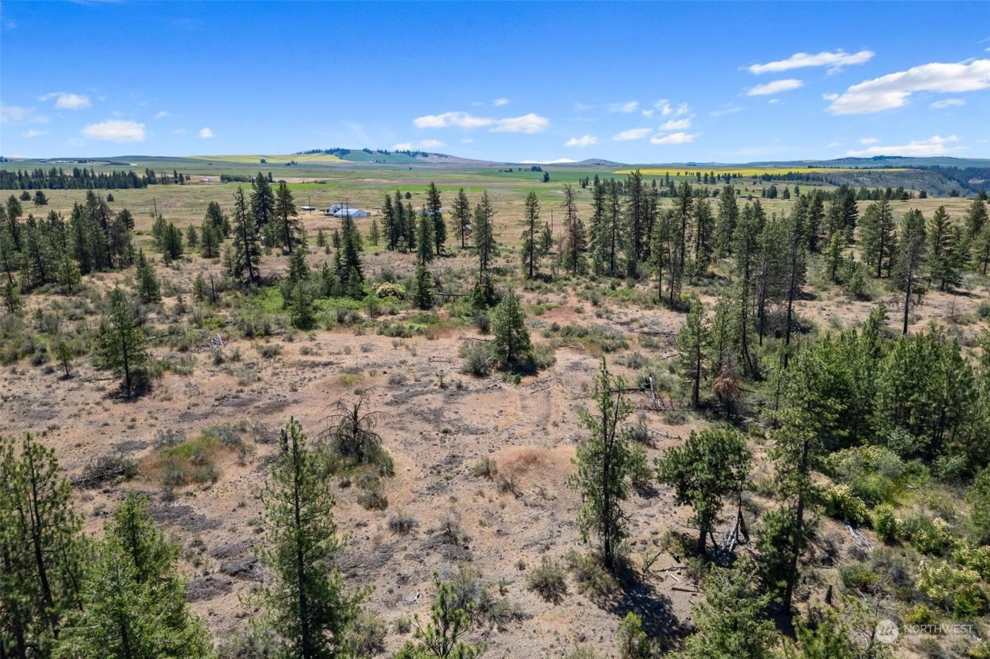 51200 E Whispering Pines Dr , Reardan, WA 99029