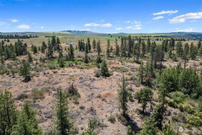 51200 E Whispering Pines Dr , Reardan, WA 99029 - Photo 8
