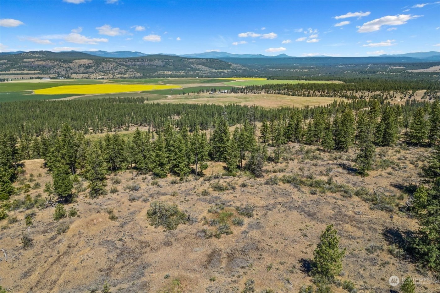 51200 E Whispering Pines Dr , Reardan, WA 99029