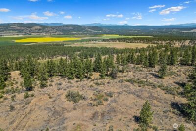 51200 E Whispering Pines Dr , Reardan, WA 99029 - Photo 9