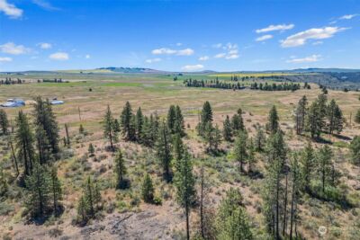 51200 E Whispering Pines Dr , Reardan, WA 99029 - Photo 10