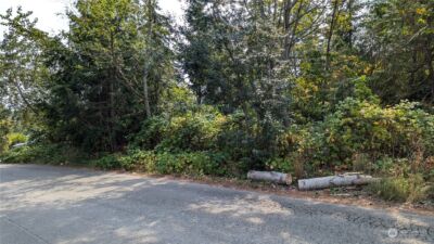 21512 101st Street , Bonney Lake, WA 98391 - Photo 3