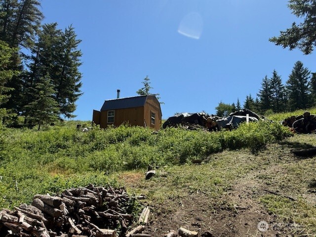 175 ELLEMEHAM RIDGE Road , Oroville, WA 98844