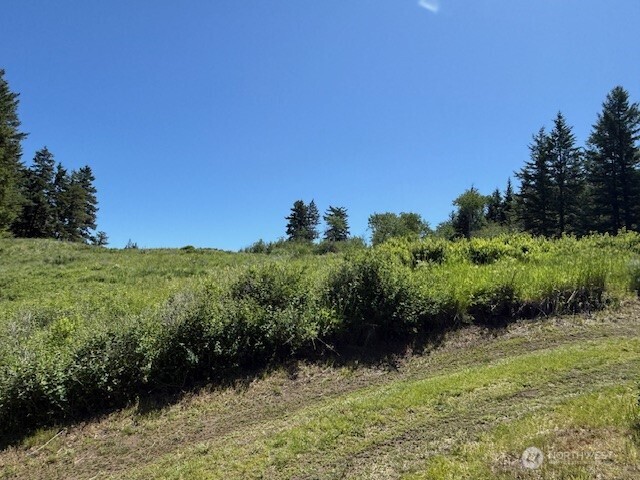 175 ELLEMEHAM RIDGE Road , Oroville, WA 98844