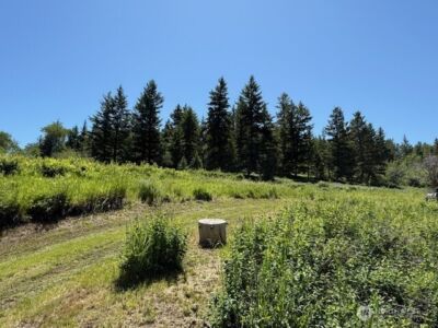 175 ELLEMEHAM RIDGE Road , Oroville, WA 98844 - Photo 10