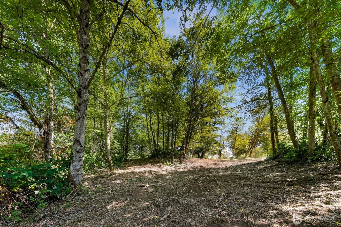 351 W Silverado Court , Bellingham, WA 98226