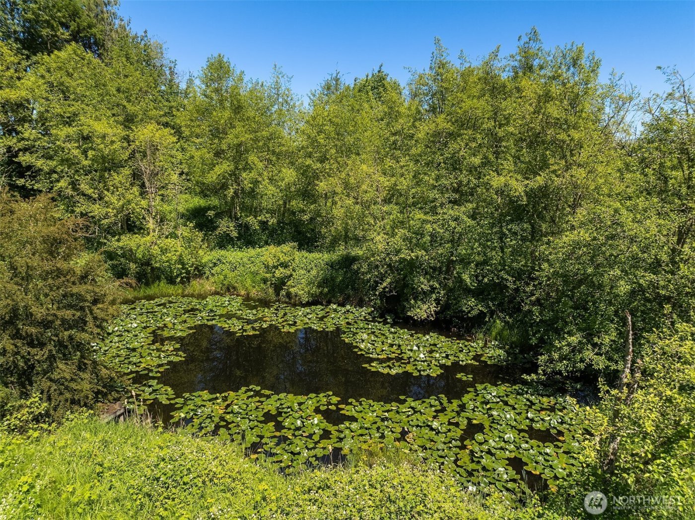 31405 SE Redmond-Fall City Road , Fall City, WA 98024