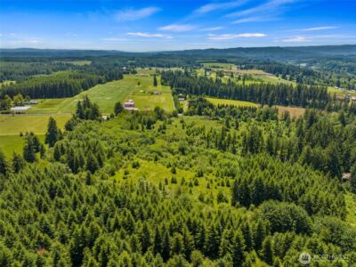 0 SE Rice-multiple MDR/LDR parcels , Winlock, WA 98596 - Photo 8