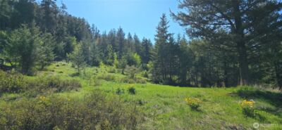 111 Ellemeham Mtn , Oroville, WA 98844 - Photo 11