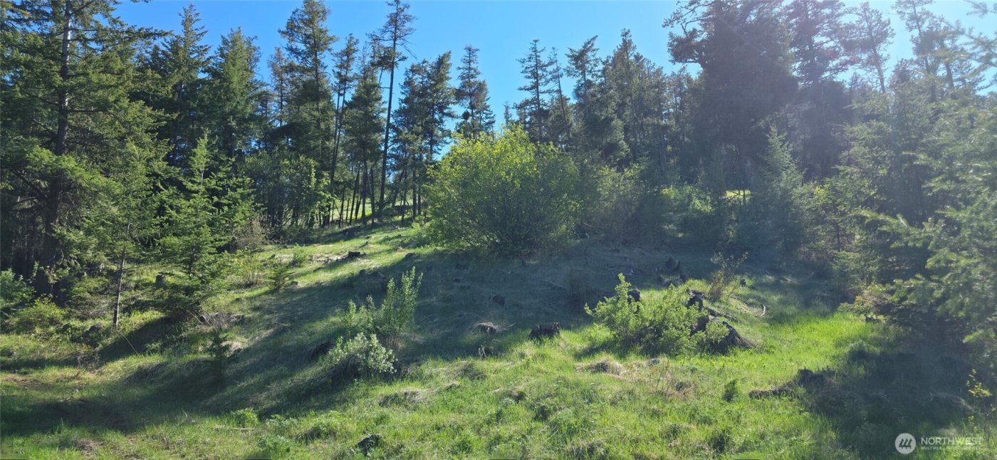 111 Ellemeham Mtn , Oroville, WA 98844