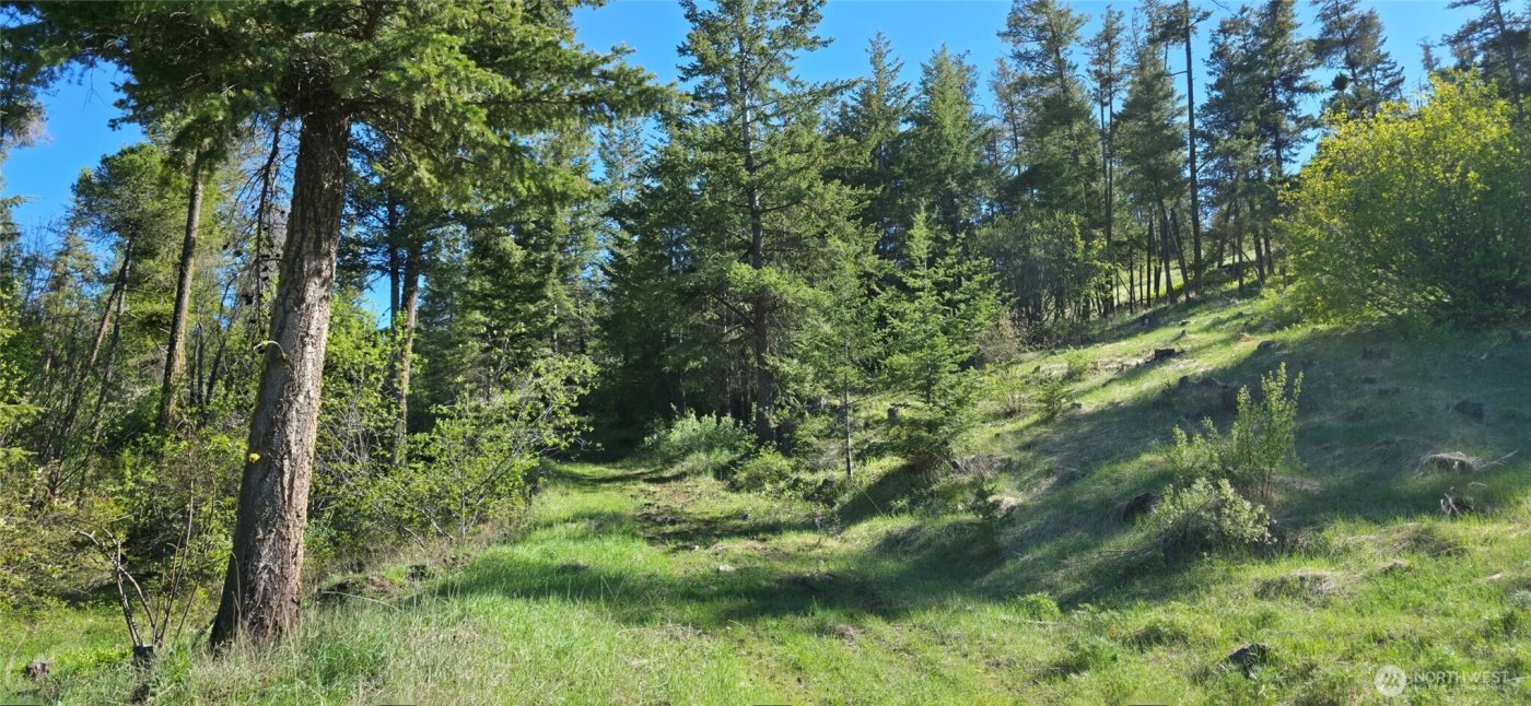 111 Ellemeham Mtn , Oroville, WA 98844