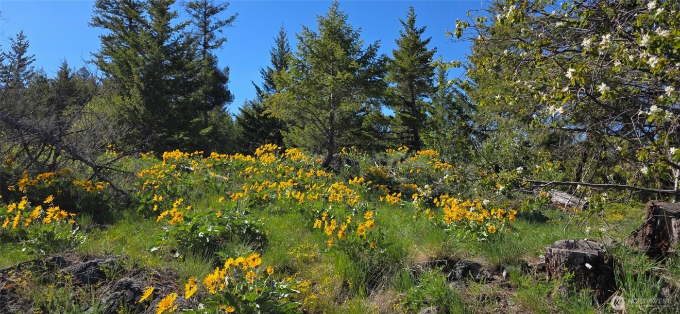 111 Ellemeham Mtn , Oroville, WA 98844