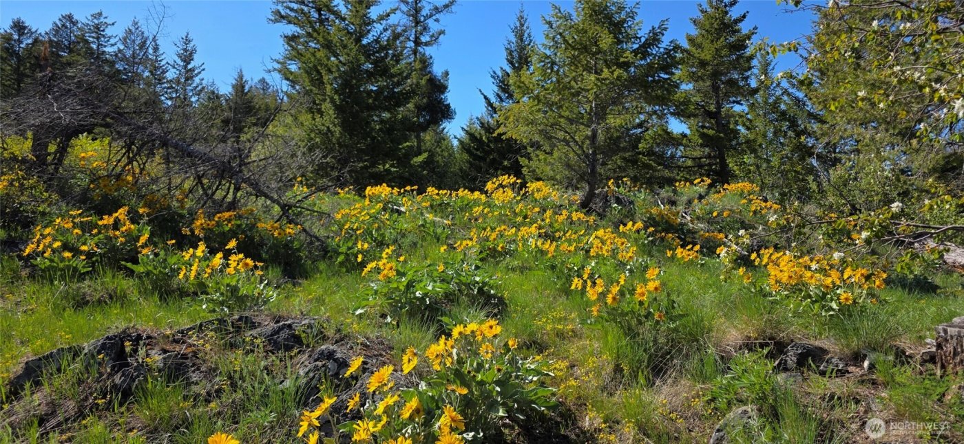 111 Ellemeham Mtn , Oroville, WA 98844