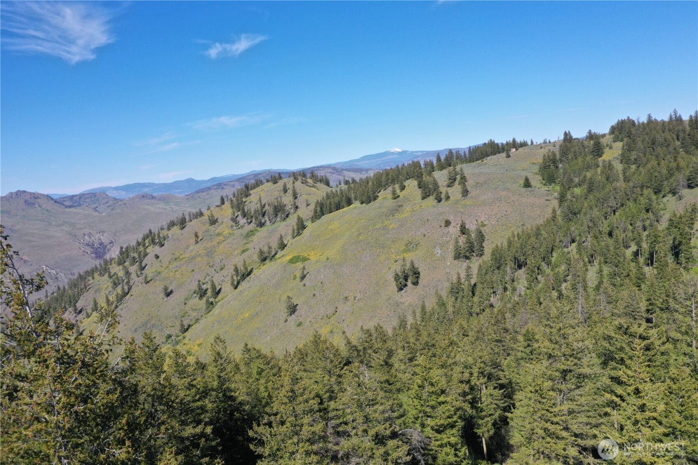 111 Ellemeham Mtn , Oroville, WA 98844