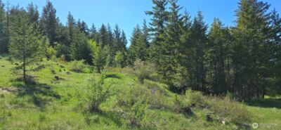 111 Ellemeham Mtn , Oroville, WA 98844 - Photo 2