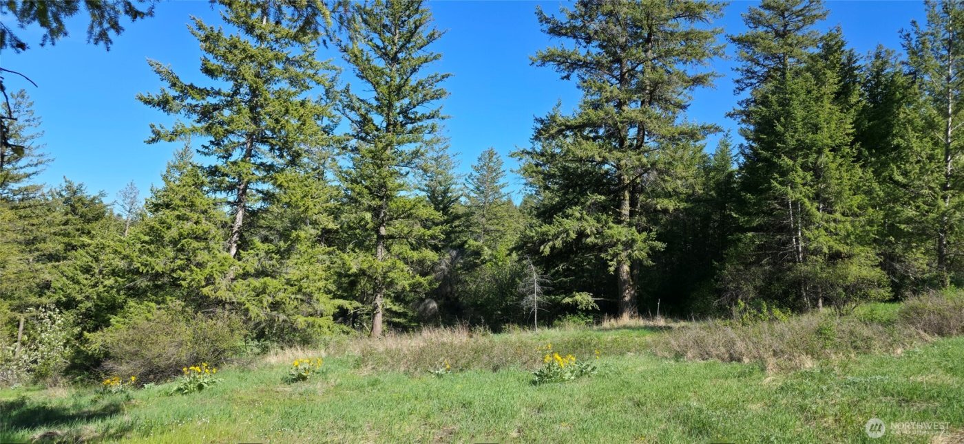 111 Ellemeham Mtn , Oroville, WA 98844