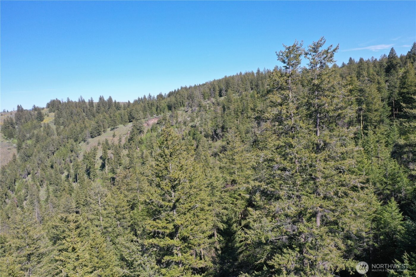 111 Ellemeham Mtn , Oroville, WA 98844