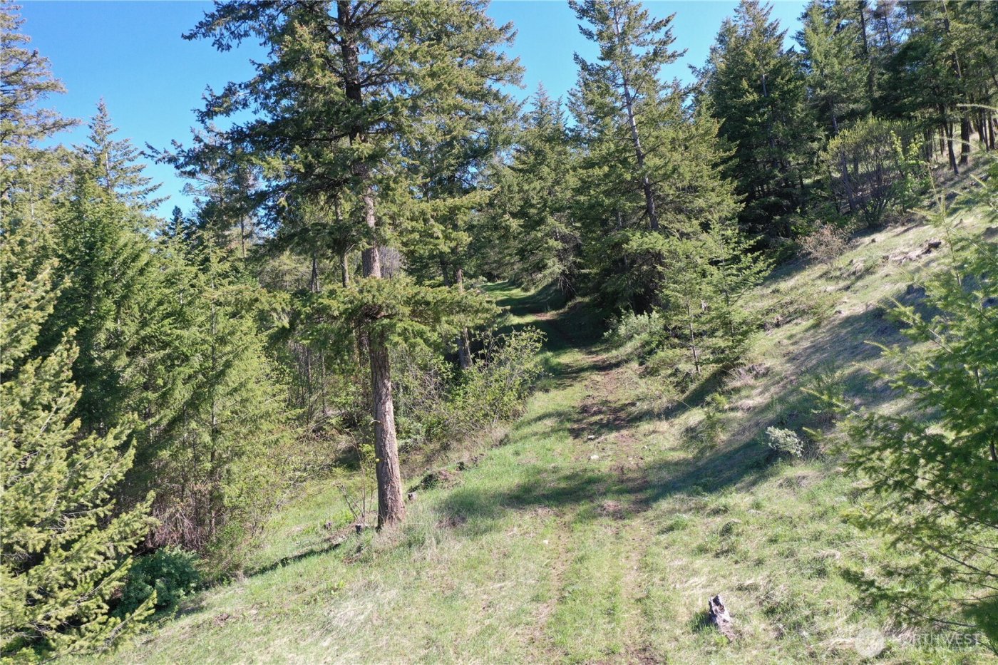 111 Ellemeham Mtn , Oroville, WA 98844