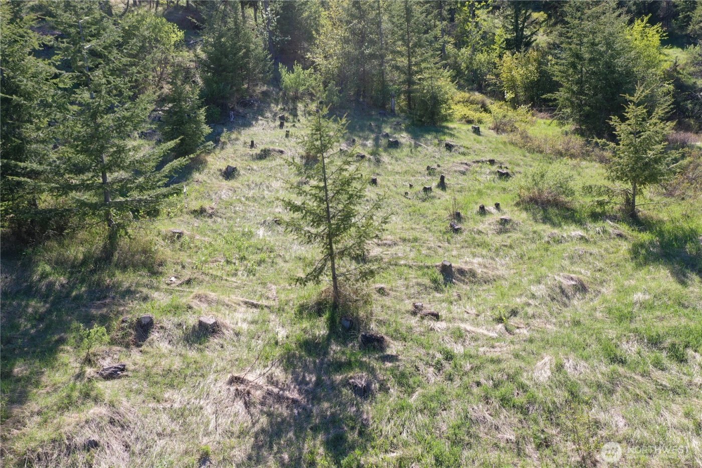 111 Ellemeham Mtn , Oroville, WA 98844