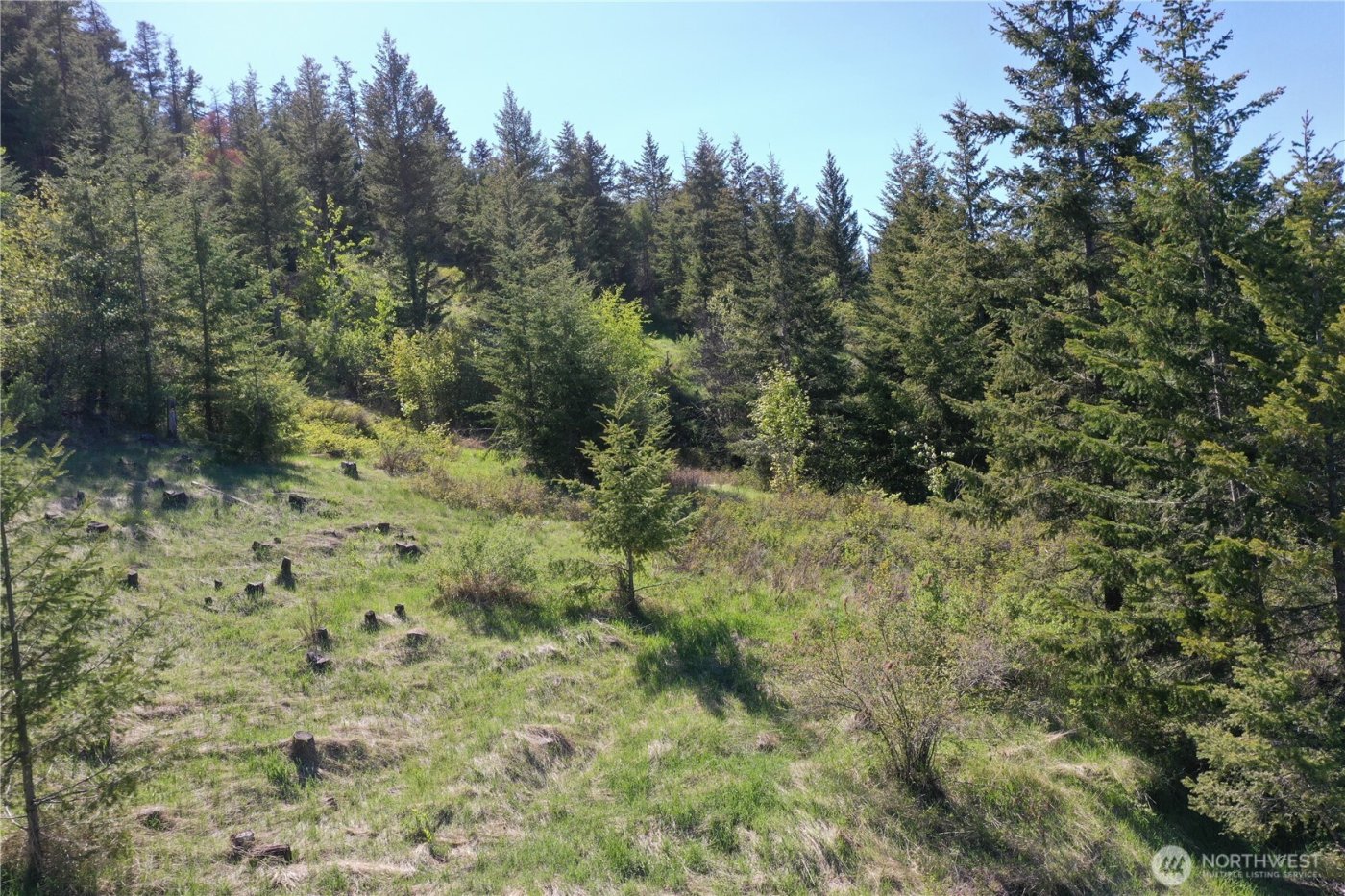 111 Ellemeham Mtn , Oroville, WA 98844