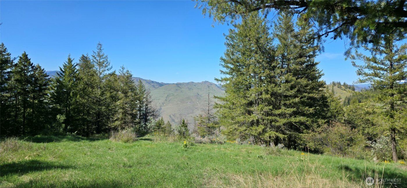 111 Ellemeham Mtn , Oroville, WA 98844