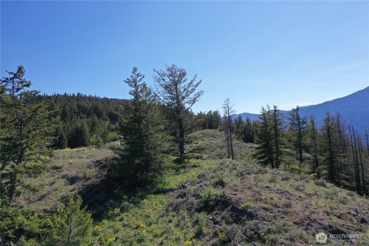 111 Ellemeham Mtn , Oroville, WA 98844