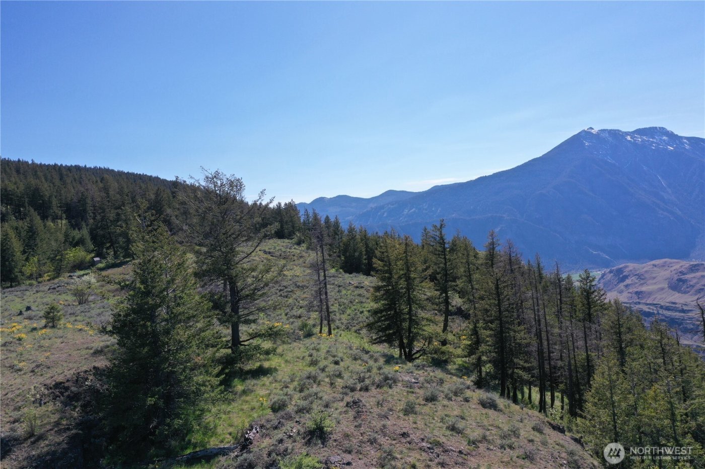 111 Ellemeham Mtn , Oroville, WA 98844