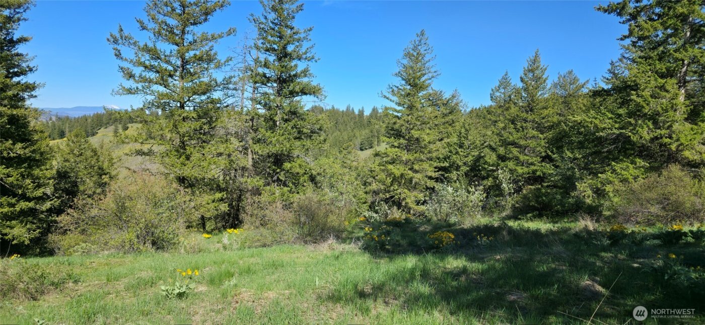 111 Ellemeham Mtn , Oroville, WA 98844