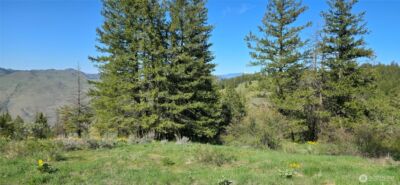 111 Ellemeham Mtn , Oroville, WA 98844 - Photo 6