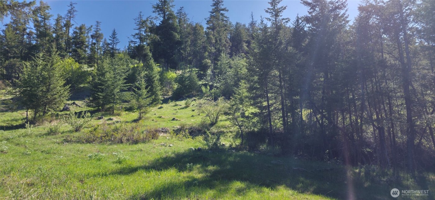 111 Ellemeham Mtn , Oroville, WA 98844