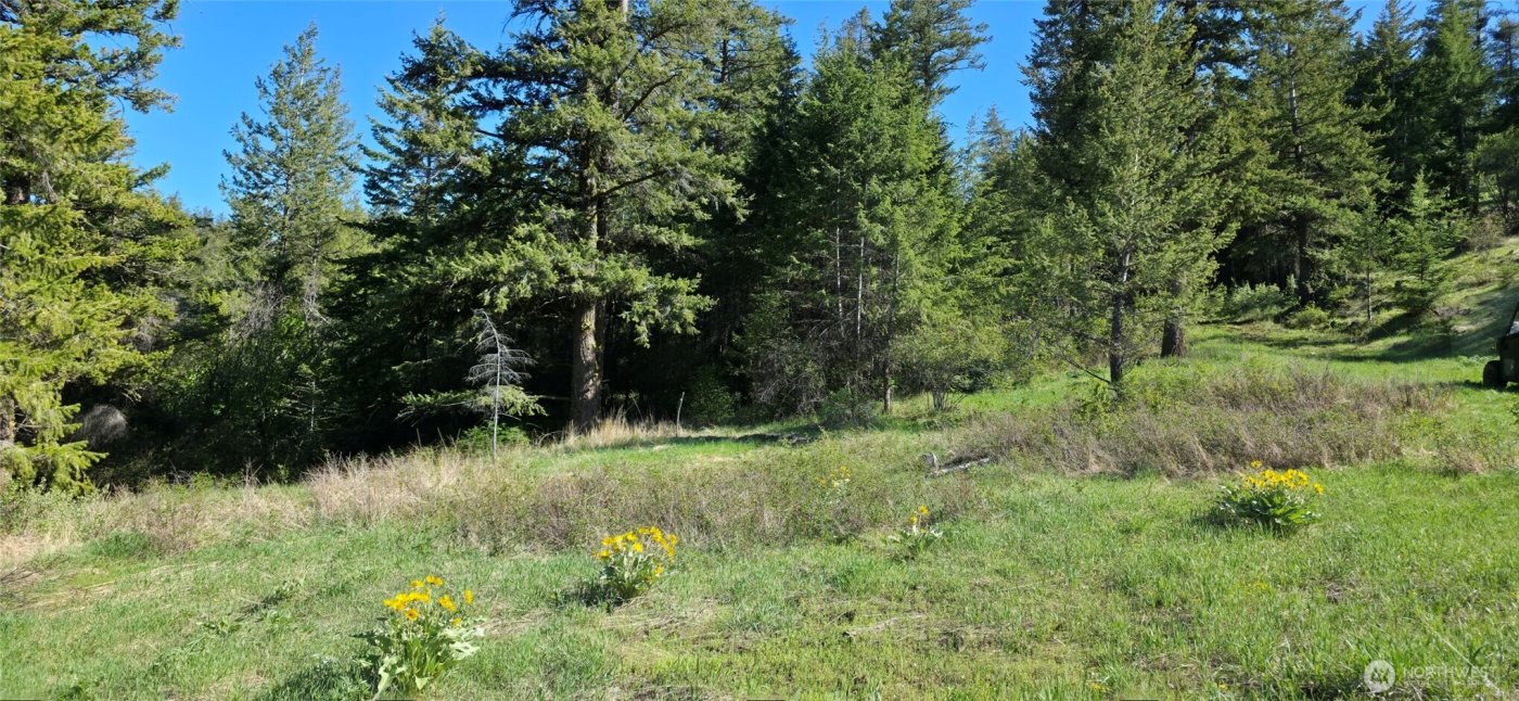 111 Ellemeham Mtn , Oroville, WA 98844