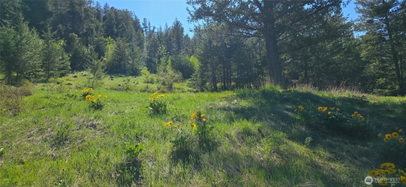 111 Ellemeham Mtn , Oroville, WA 98844